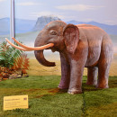 Prehistoric elephant