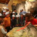 GUIDED TOUR AT THE MUSEUM