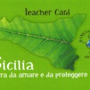 Teacher Card