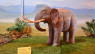 Elefante preistorico