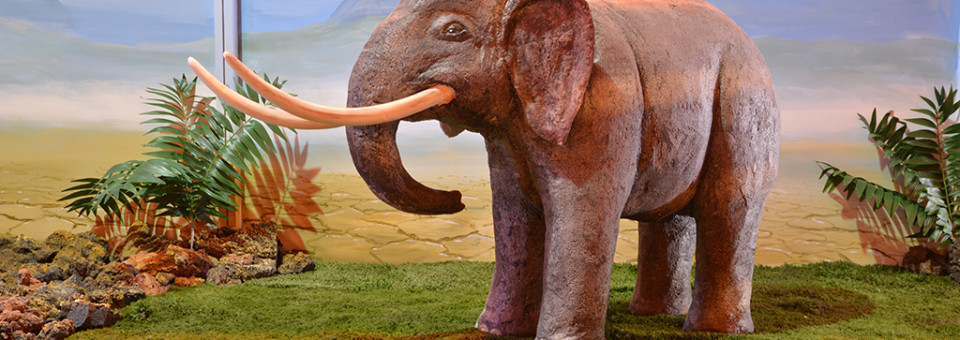 Prehistoric elephant